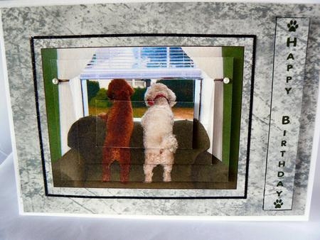 2 Dogs at the Window by Audrey Wilson