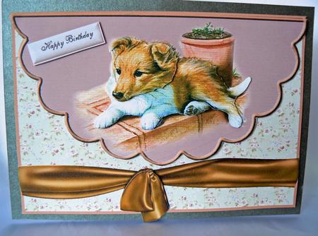 Dog Envelope Card by Audrey Wilson