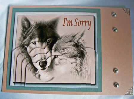 I'm Sorry Stacker by Audrey Wilson
