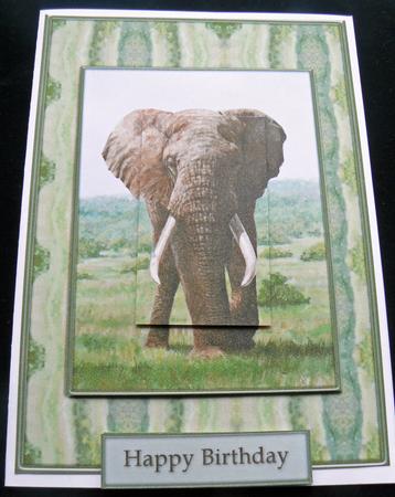 Elephant Card Front by Audrey Wilson