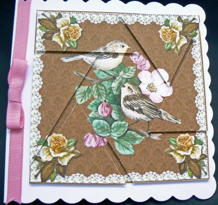 Birds Camera Eye Stacker by Audrey Wilson