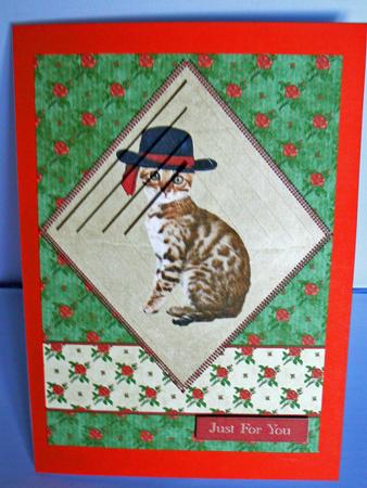 The Cat in the Hat by Audrey Wilson