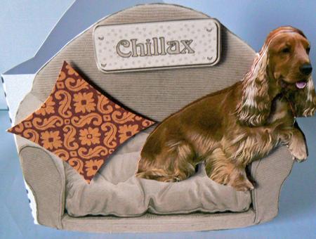 Cocker Spaniel,golden,on a Beige Armchair by Audrey Wilson
