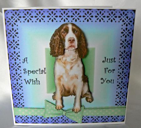 Springer Spaniel Decoupage by Audrey Wilson