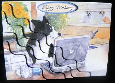 Border Collie Dog Working on Computer Wavy Corner Stacker by Audrey Wilson