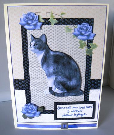 Platinum Highlights, Not Grey Hairs, Funny Cat Card by Audrey Wilson