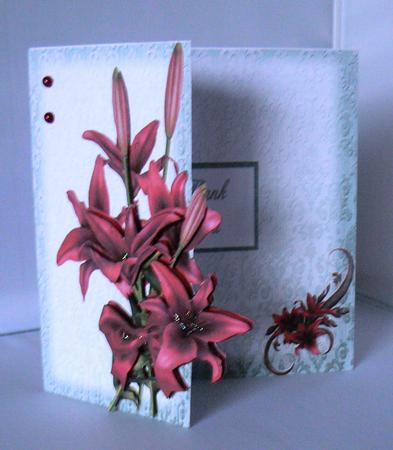 Red Lily Shortfall Cut Away Card by Audrey Wilson