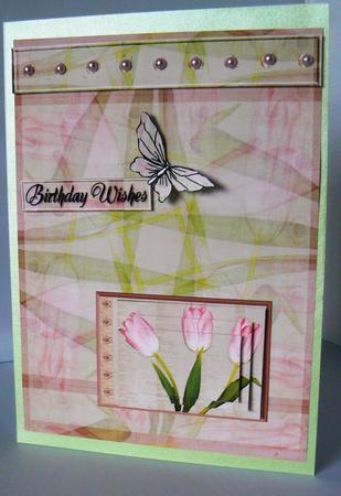 Pink Tulip by Audrey Wilson
