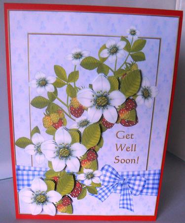 Get Well Soon Strawberries by Audrey Wilson