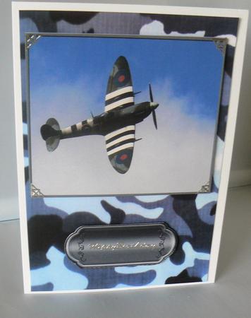 Spitfire 2 by Audrey Wilson