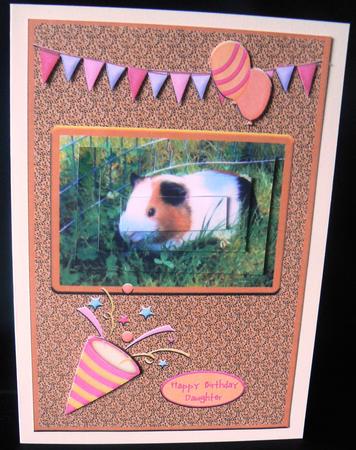 Guinea Pig Girl Qs by Audrey Wilson