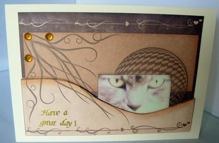 Lechat 10b, Peek! 5x7 Layered Card by Audrey Wilson