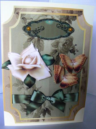 Cream Rose Beauty by Audrey Wilson