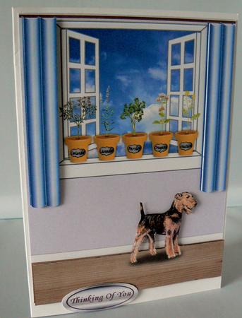 Herb Pots, Window and Terrier A4 by Audrey Wilson