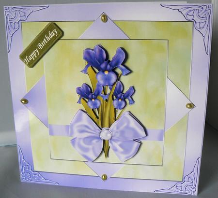 8x8 the Iris Plain and Simple by Audrey Wilson