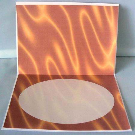 Sumptuous Satin A5 Insert - Copper by Audrey Wilson