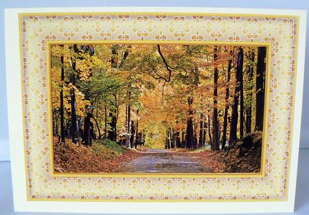 Gold Frames with Lace Overlay by Audrey Wilson