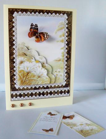 Red Admiral & Daisies Corner Pocket Card by Audrey Wilson