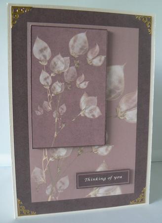 Petals Sympathy by Audrey Wilson