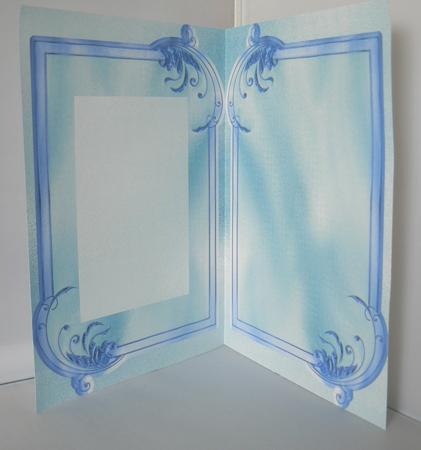 Blue Insert by Audrey Wilson