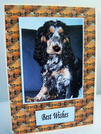 My Little Dog by Audrey Wilson