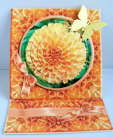 Orange Dahlia B - Mothers Day Featured Gallery Photo