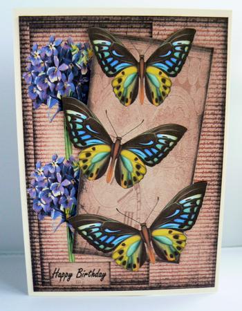 Male Card Vintage Butterflies by Audrey Wilson