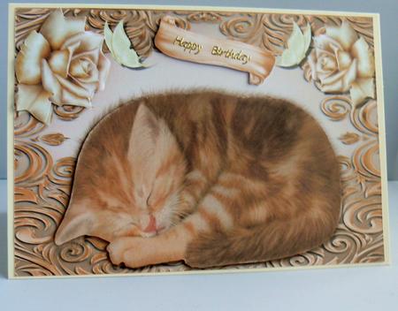 Cute Ginger Kitten in Gold Frame by Audrey Wilson