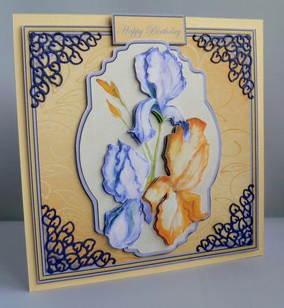 Water Colour Iris Purple and Yellow Card Front by Audrey Wilson
