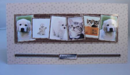 Large Dl Card Cats and Dogs 2 by Audrey Wilson