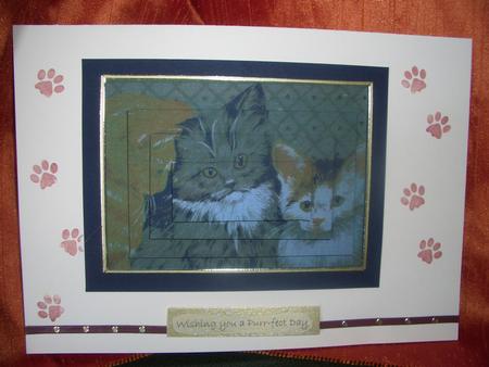 Three Cute Cats Pyramage by Audrey Wilson