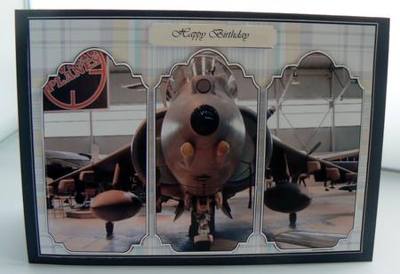 Harrier in Hanger by Audrey Wilson