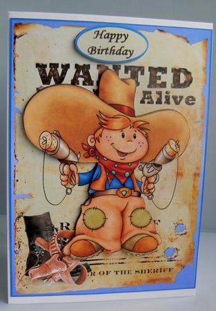 Billy Get Your Gun by Audrey Wilson