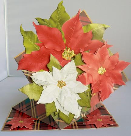 Giant Spring Wobble Card Kit - Poinsettia's & Tartan by Audrey Wilson