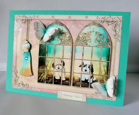 Puppy Dog Eyes Double Window by Audrey Wilson
