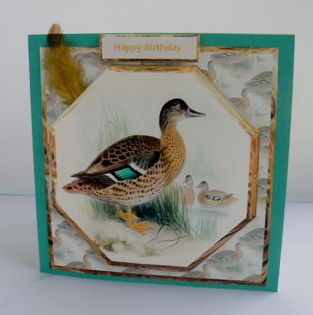 The Duck Family Card Front with a Topper by Audrey Wilson