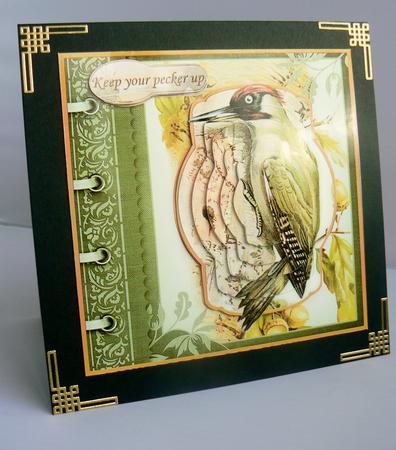 Keep Your Pecker Up Get Well Soon or Birthday Card Topper by Audrey Wilson