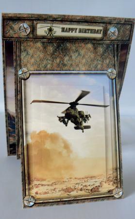 3 in 1 Flight of the Apache by Audrey Wilson