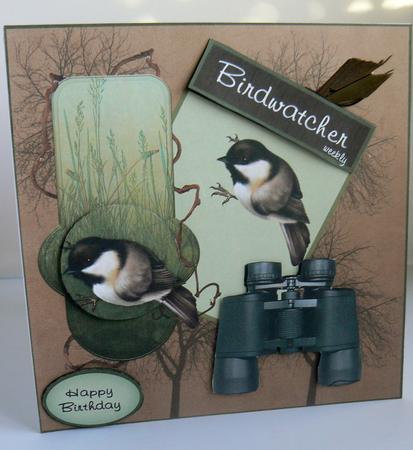 Birdwatcher Weekly by Audrey Wilson