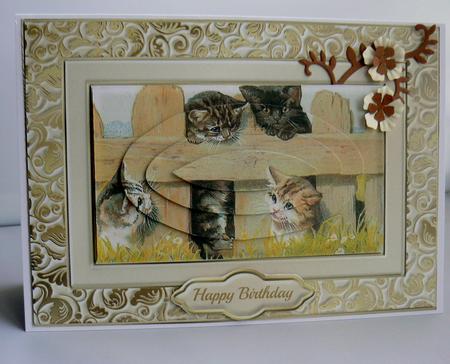 Cats on the Fence Quick Card by Audrey Wilson
