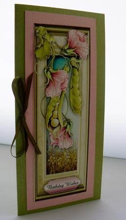 Large Dl Sweet Pea Framed by Audrey Wilson