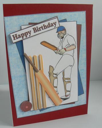 Anyone for Cricket by Audrey Wilson