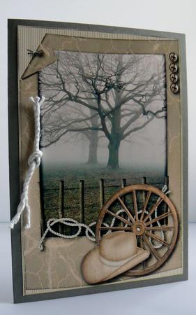 Cowboy Country Topper by Audrey Wilson