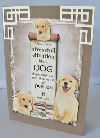 Handle Every Stressfull Situation Like a Dog -  by Audrey Wilson