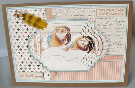 Feeling Sick as a Parrot Get Well Soon Quick Card & Pyramage by Audrey Wilson