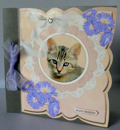 So Cute Puss for Lots of Occasions #2 by Audrey Wilson