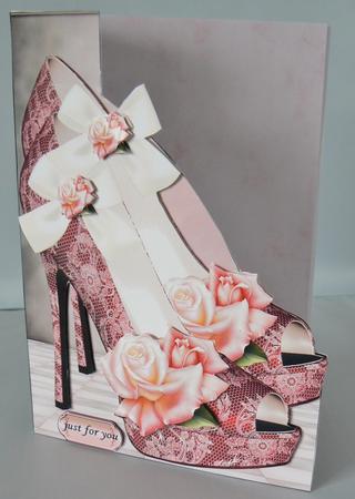 Over the Edge Lace Shoes & Roses by Audrey Wilson