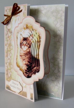 Tabby Cat Curved Over Side Mini Kit & Pyramage by Audrey Wilson