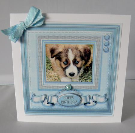 Cute Puppy with Blue Eyes 8in x 8in Quick Card by Audrey Wilson