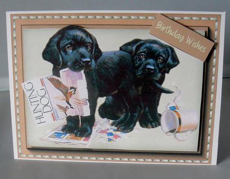 Beautiful Labrador Pups Playing  by Audrey Wilson